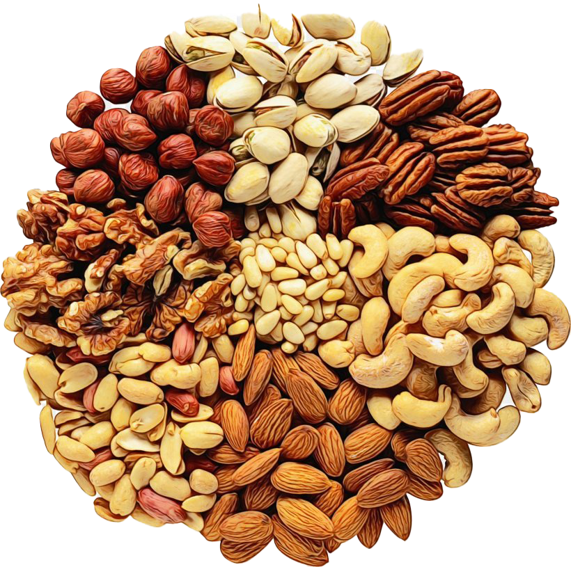 Nuts and Seeds